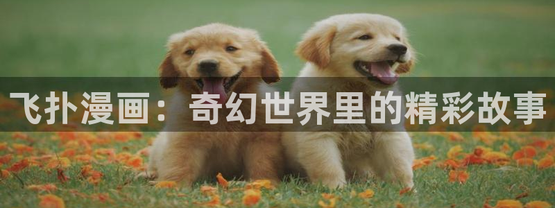 羞羞漫画漫画网站入口：飞扑漫画：奇幻世界里的精彩故事