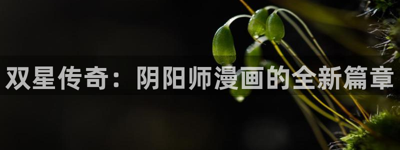 羞羞漫画在线成人观看：双星传奇：阴阳师漫画的全新篇章